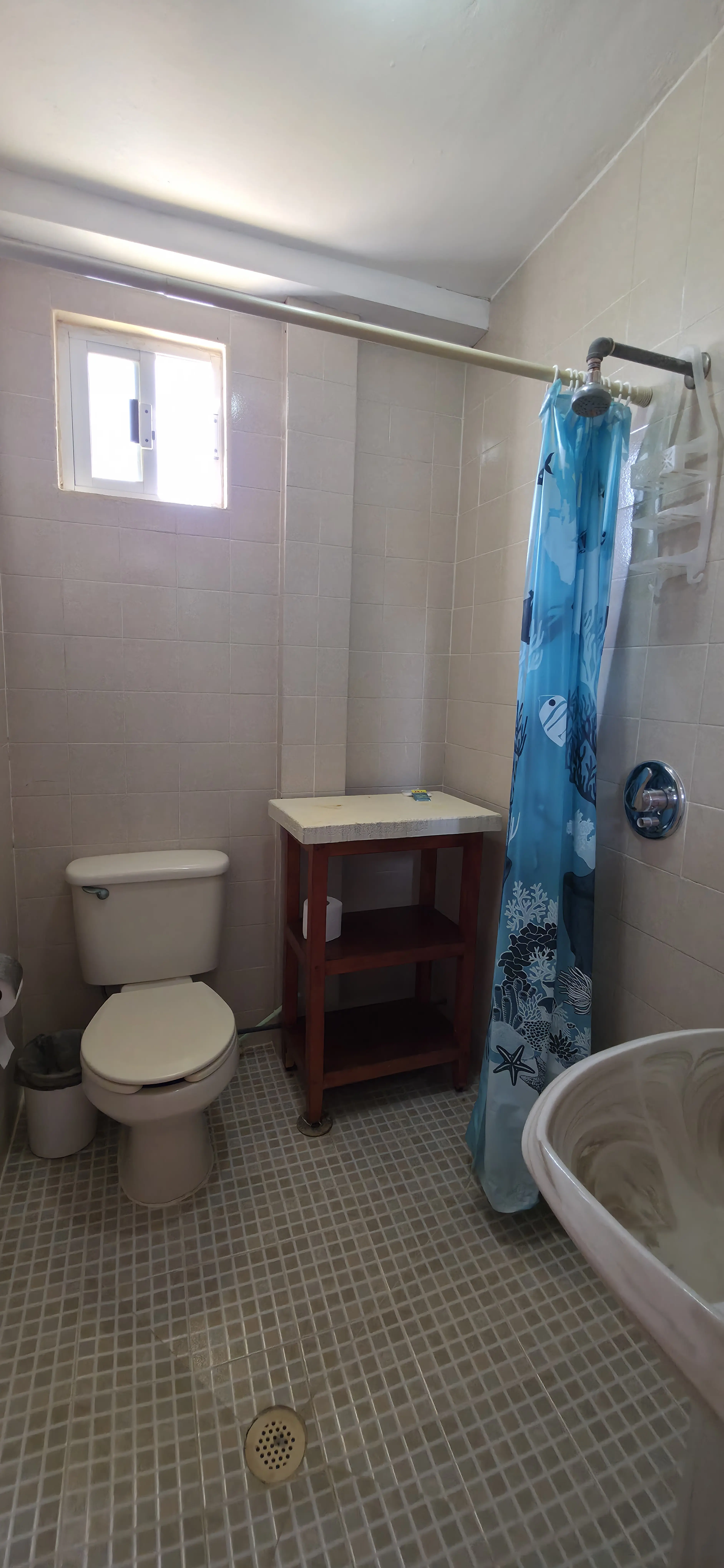 Baño con cortina azul de tiburones